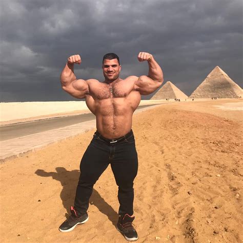Hasan mustafa, studied at jamia millia islamia, faculty of engineering and technology. Muscle Lover: Egyptian IFBB Pro bodybuilder Hassan Mostafa (2)