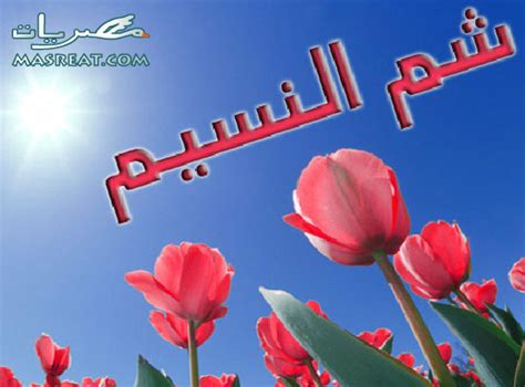 غلق الحدائق والمتنزهات في شم النسيم بالأقصر. صور شم النسيم 2015 كروت ازهار، بيض ملون، مناظر طبيعية
