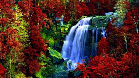 Waterfall In Autumn Wallpaper Backiee