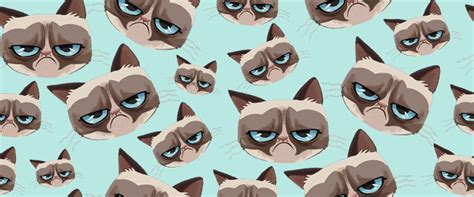 45 Grumpy Cat Iphone Wallpaper Wallpapersafari