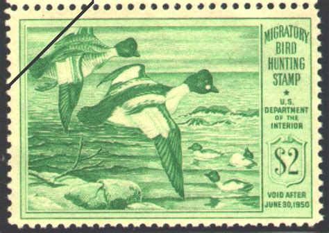 American Goldeneyes Duck Stamp