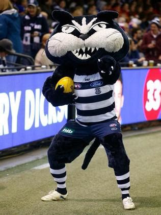 Shop with afterpay on eligible items. Half Cat: Geelong Cats urged to keep Steve Sobey as mascot ...