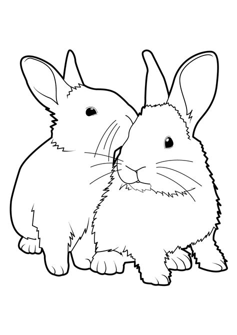 128 Dibujos De Conejos Para Colorear Oh Kids Page 11