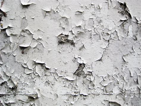 10 Major Reasons Why Your Wall Paint Is Peeling Off According To The