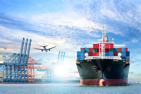Shipping Containers and the Logistics of International Shipping - Your Shipping Company | Pack-N 
