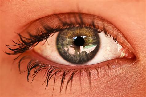 How To Photograph The Human Eye Iris Or Pupil Technology Share