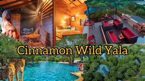 Cinnamon Wild Yala Best Hotel In Sri Lanka Luxury Hotels Yala