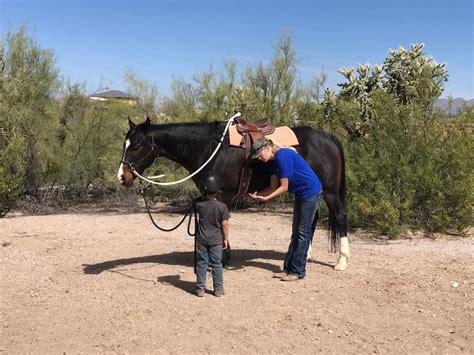 The 10 Best Tucson Horseback Riding Tours Updated 2024