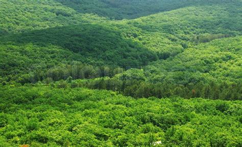 Aerial View Of A Green Mountain Forest Stock Photo Colourbox