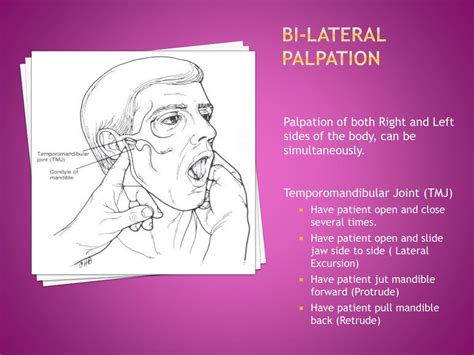 Ppt Head And Neck Review Intraextra O Ral Examination Powerpoint