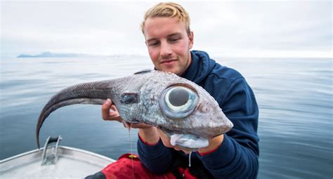 Angler Reels In Bizarre Looking Fish With Big Eyes In Norway