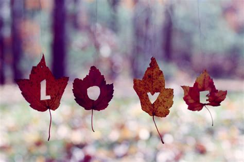 Autumn Love Story Wallpapers High Quality Download Free
