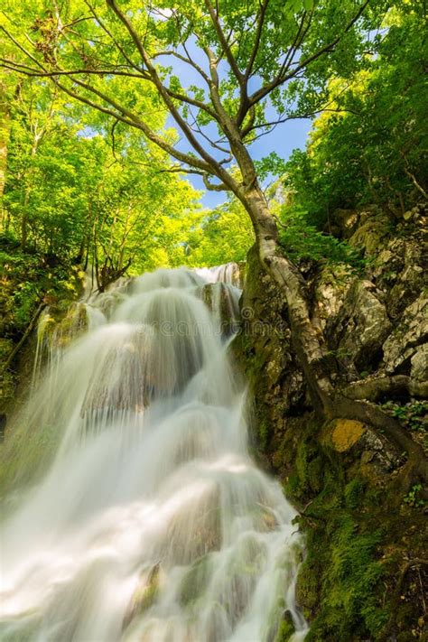 Pristine Waterfalls Deep In The Woods Stock Image Image Of Beautiful