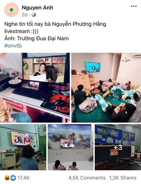 Vì Sao Người Việt Nam ‘phát Sốt Với Hiện Tượng Nguyễn Phương Hằng Bbc News Tiếng Việt