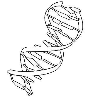 Dna coloring page basically are a regular requirement for science and other subjects too and we give you free access to loads of worksheets and school project material for free. PDB-101: Learn: Coloring Books: Discovering Biology ...