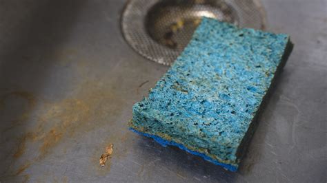 The Surprising Structural Reason Your Kitchen Sponge Is Disgusting Duke Pratt School Of