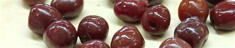 Check spelling or type a new query. Gruppo Todisco - Processo di lavorazione di ciliegie in ...