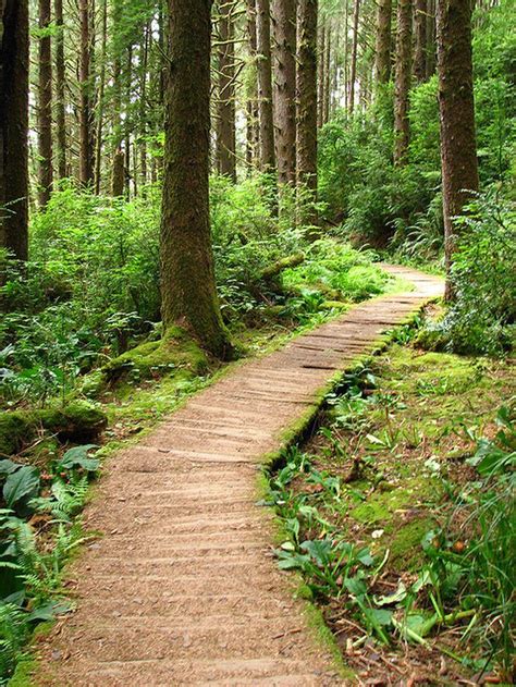 California travel, food, hiking & road trips. The Fern Canyon trail starts on this magical path that ...