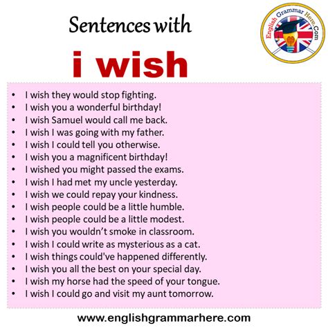 Sentences With I Wish I Wish In A Sentence In English Sentences For I