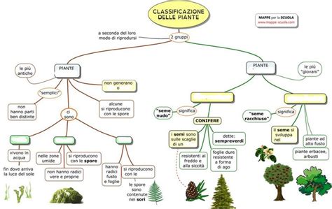 Oggi parleremo di un argomento molto simpatico ed interessante: Le piante online worksheet for quarta. You can do the ...