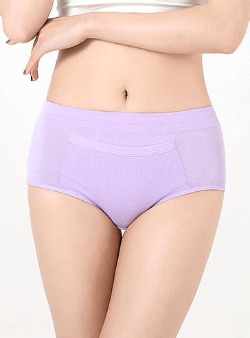 Dewormer, flea & tick treatment. Pee Proof Underwear - (3 Pack) Incontinence Panties Pee ...