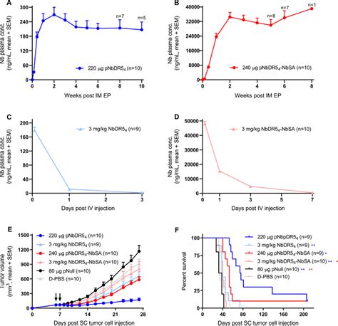 Nanobody Plasma Levels Tumor Growth And Survival After Intramuscular