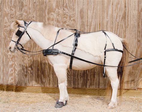 Reit And Fahrsport Strong Horse Nylon Driving Cart Breeching Harness Set