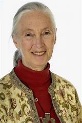 Photos of Doctor Jane Goodall