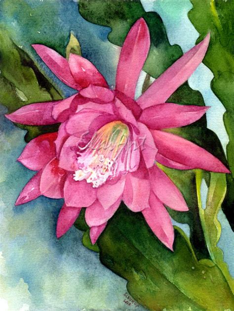 Pink Epiphyllum Orchid Cactus Art Print Watercolor Etsy