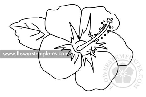 Hibiscus With Leaf coloring page | Flowers Templates