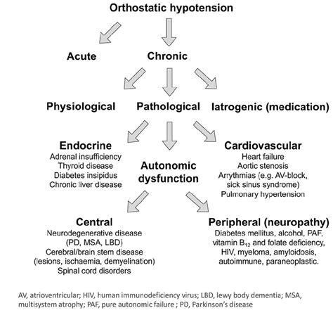 Orthostatic Hypotension A Pragmatic Guide To Diagnosis And Treatment
