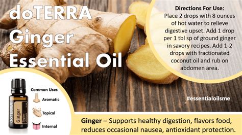 Doterra Ginger Essential Oil Uses