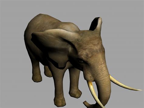 3d Model Elephant Animation