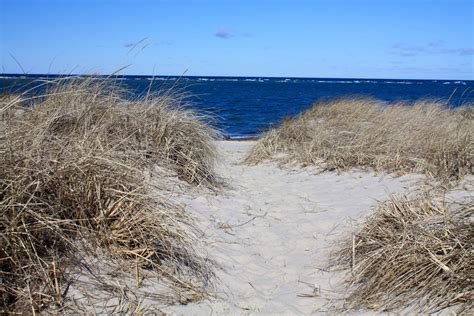 Top 5 Secret Best Cape Cod Beaches The Platinum Pebble Boutique Inn