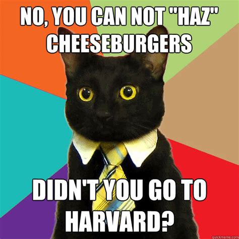 Thanks to our loyal user's who are always creating new funny and adorable. No, You Can Not Haz Cat Meme - Cat Planet | Cat Planet