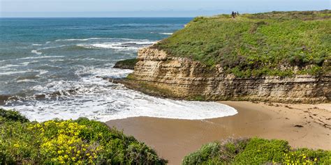 Hidden Santa Cruz Nature Spots Via Santa Cruz Beach Santa Cruz