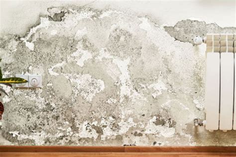 Maybe you would like to learn more about one of these? Water Damage Restoration | Fire | Mold | Wausau, WI