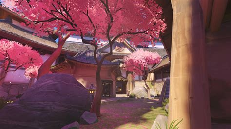 Wallpaper Cherry Blossom Hanamura Overwatch Pink Spring Color