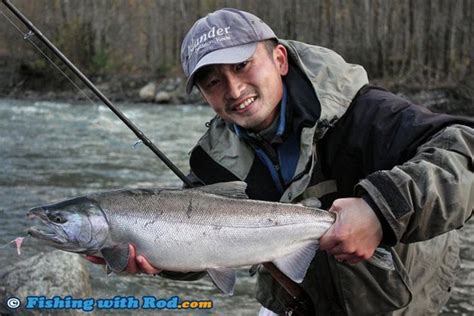 Salmon In Freshwater Fishing In Bc Fishing With Rod