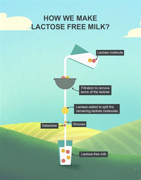 What Is Lactose Free Milk And How Does It Work Arla Foods