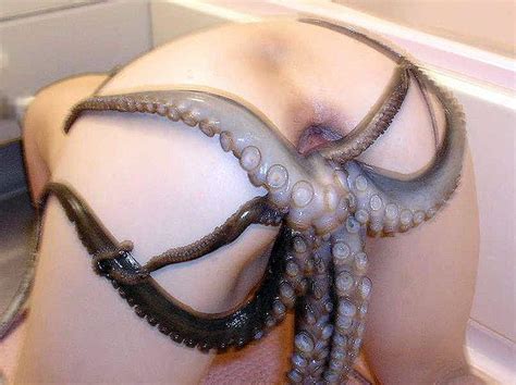 Asian Porn Photo Octopus Girls