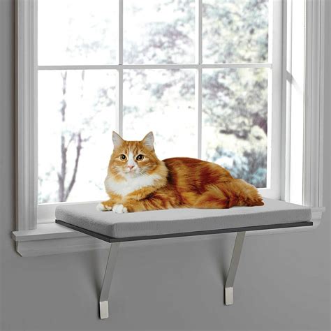 Deluxe Pet Cat Window Seat Perch â€¢measures 24 W X 12 D X 115 H By