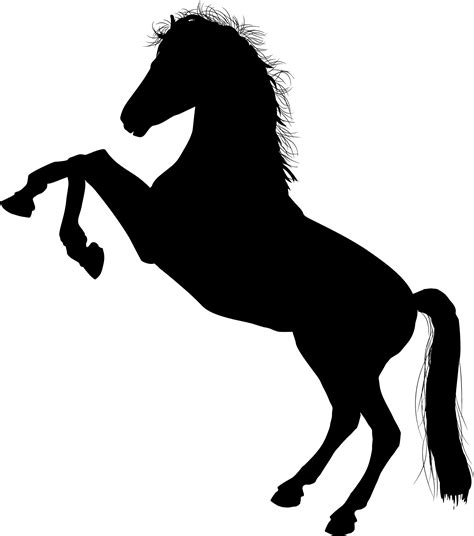 Horse Black And White Free Download On Clipartmag