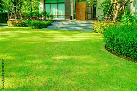 Green Grass Modern House With Beautiful Landscaped Front Yard Lawn
