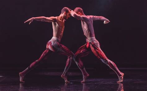 North East Theatre Guide Preview Balletboyz Fourteen Days At
