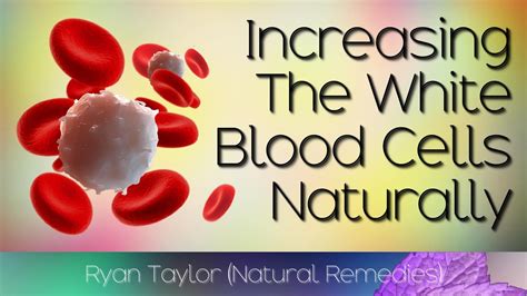 How To Increase White Blood Cells Youtube