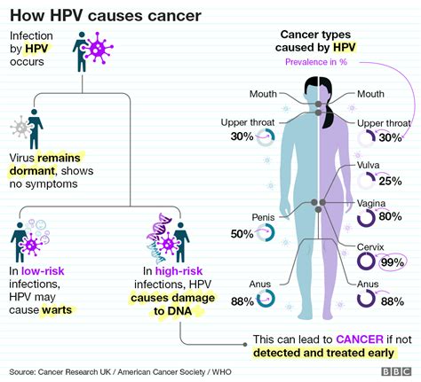 Hpv Types And Cancers