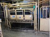 Cattle Working Facilities For Sale Photos