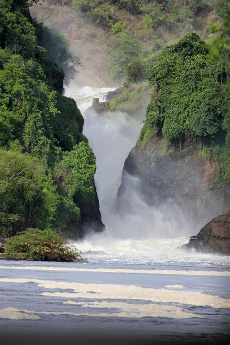 Activities To Do In Murchison Falls National Park What To See And Do