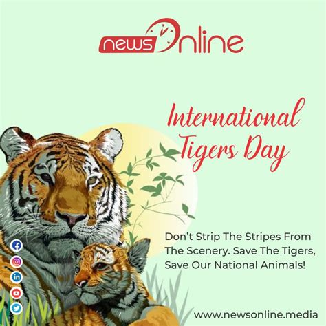 International Tiger Day 2022 Images Quotes Wishes Pictures Message